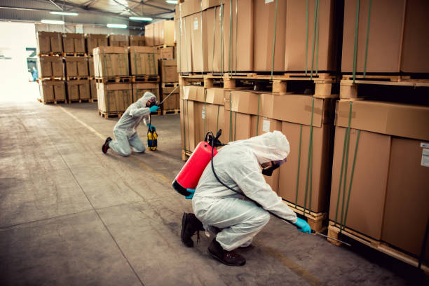 Best Flea Control Services  in Wyldwood, TX