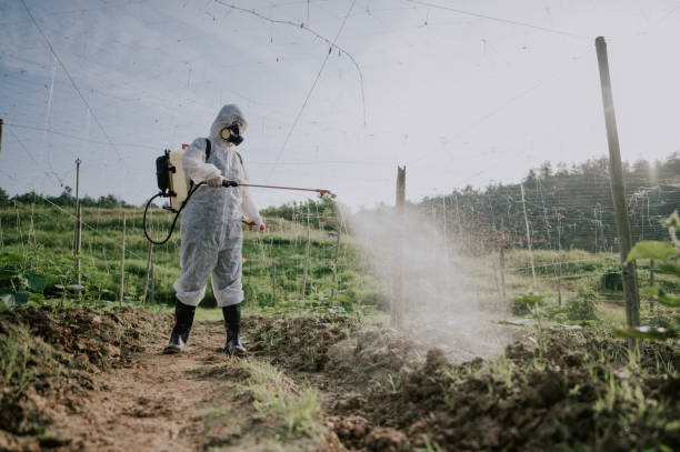 Best Affordable Pest Control Services  in Wyldwood, TX