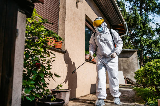 Best Affordable Pest Control Services  in Wyldwood, TX