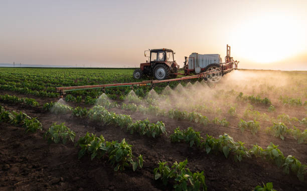 Best Commercial Pest Control Services  in Wyldwood, TX