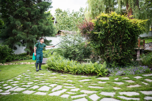 Best Wildlife Control Services  in Wyldwood, TX