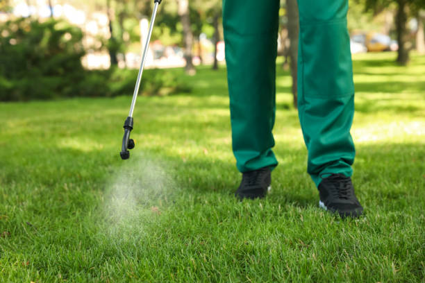 Pest Prevention Services in Wyldwood, TX