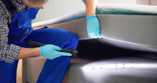 Best Pest Removal Services  in Wyldwood, TX