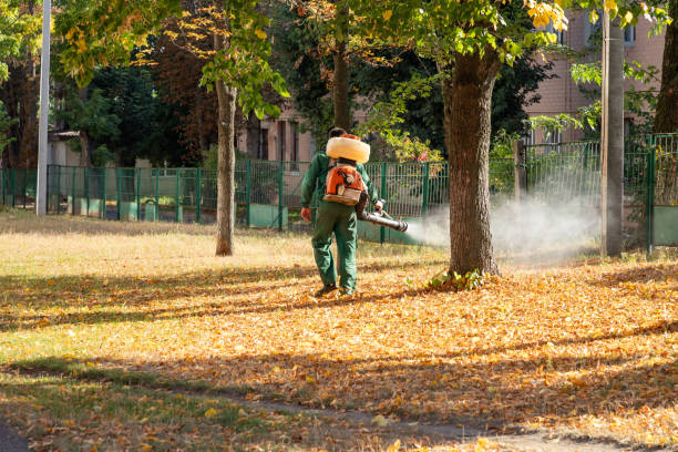 Best Mosquito Control Services  in Wyldwood, TX